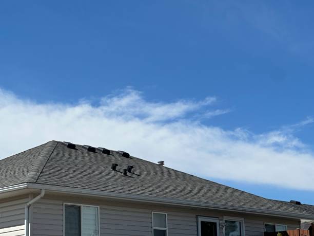 Best Commercial Roofing Services  in Kaumakani, HI